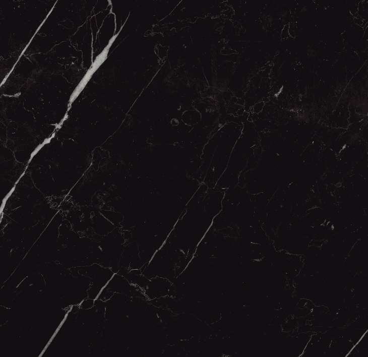 12" x 12" honed marble field tile in 'Jet Black'